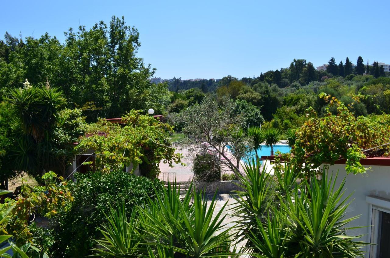 Artemis Studios - Pool And Garden Koskinou  エクステリア 写真