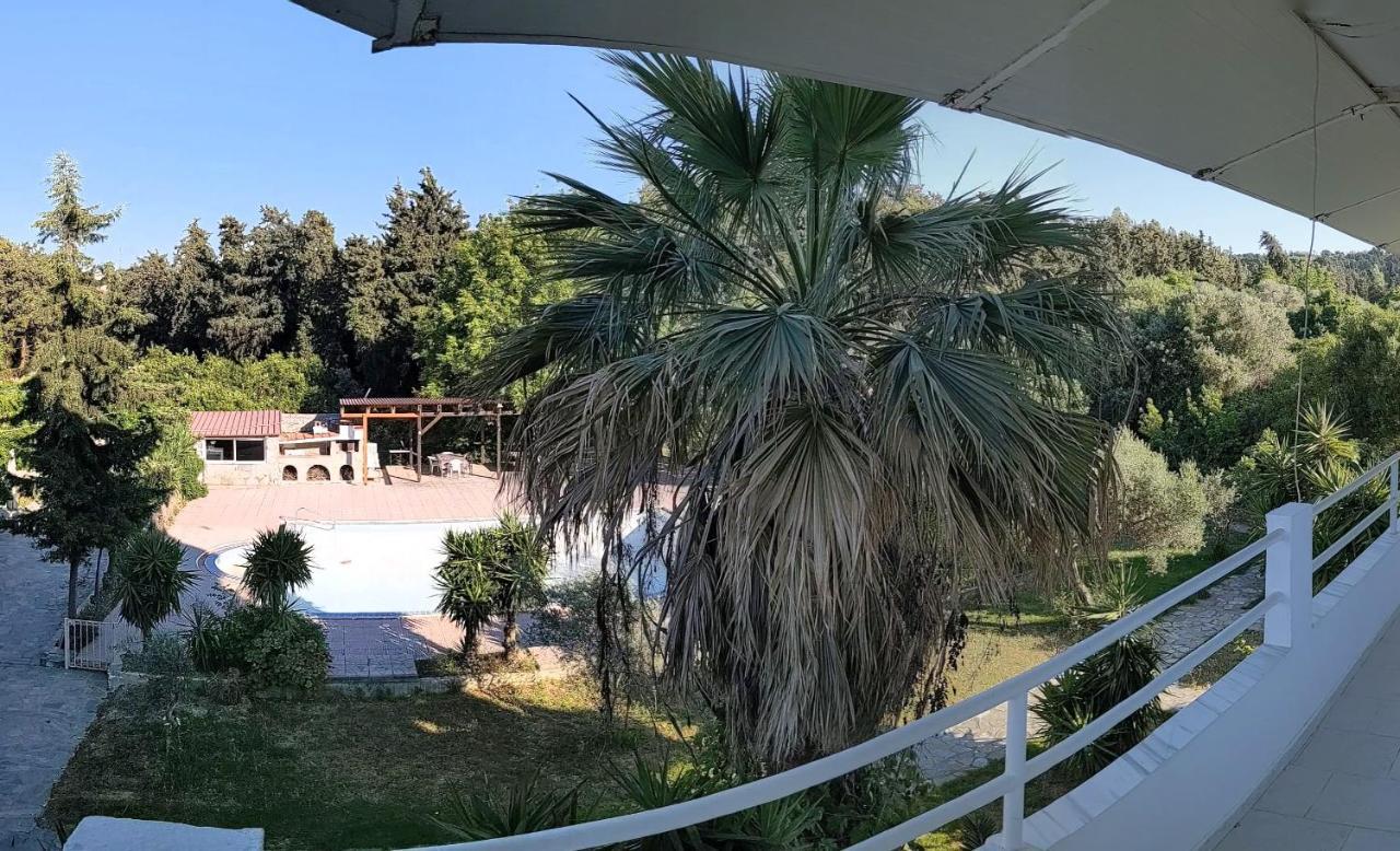 Artemis Studios - Pool And Garden Koskinou  エクステリア 写真